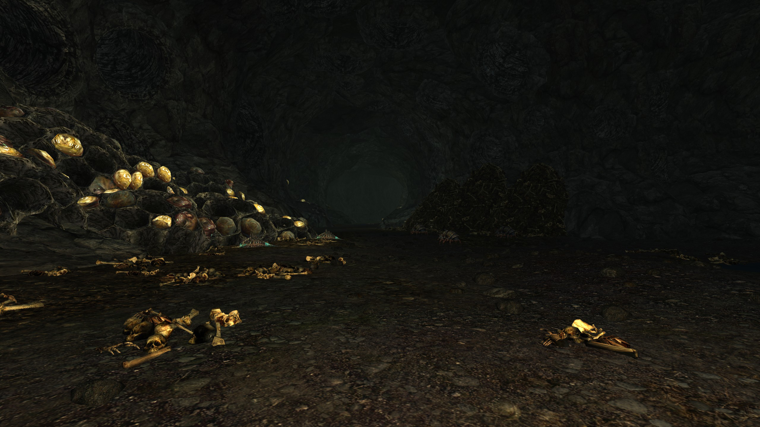 ScreenShot 2020 03 05 012027 0