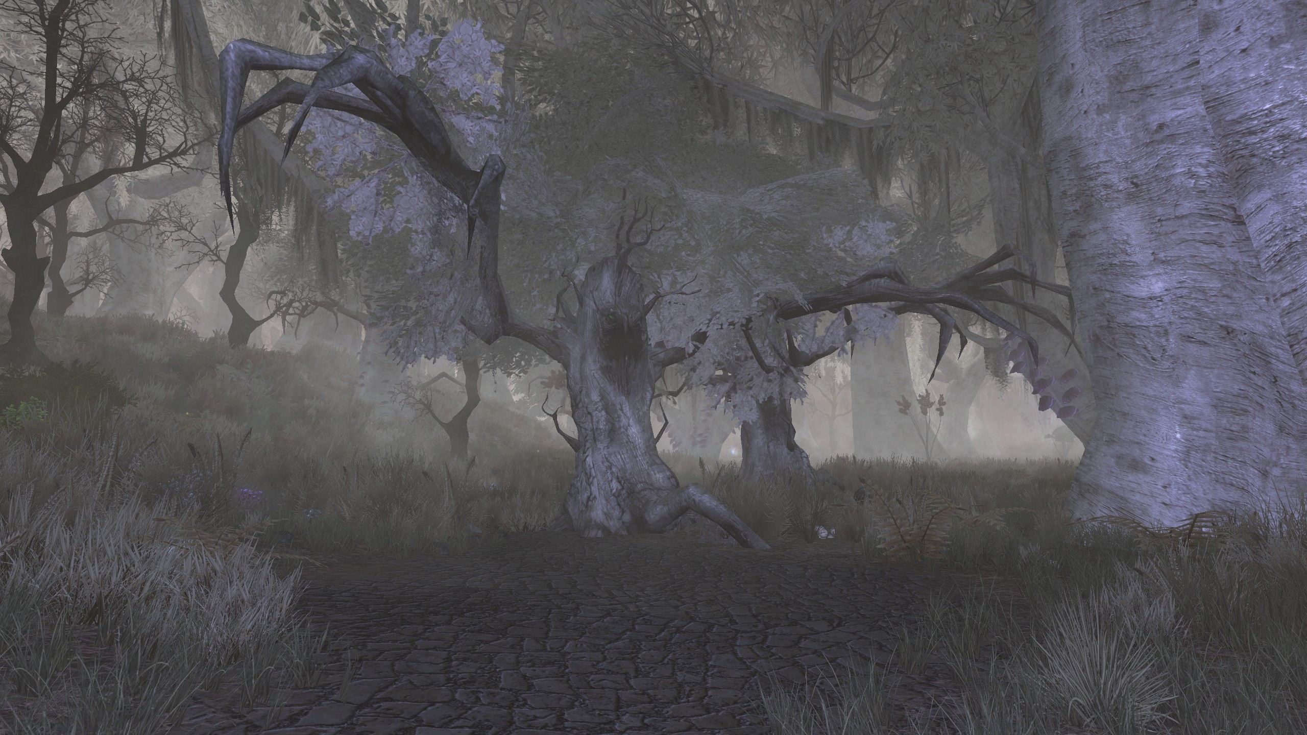 ScreenShot 2019 10 17 235519 0